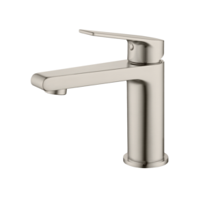 CAE 110 Series Single Lever Vanity Faucet - Spot Free Stainless Steel - Image 1