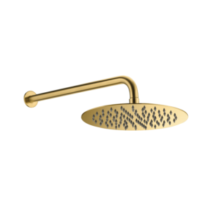 CAE Round Shower Arm with 10" Shower Head - Matte Gold - Image 1