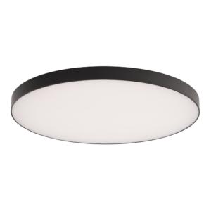 WAC Edgeless 12" Ceiling and Wall Mount - Black - Image 1