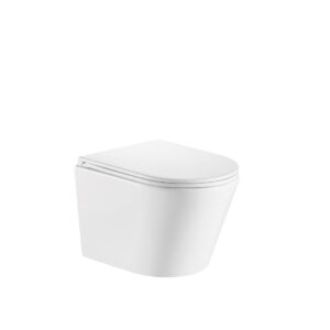 Glacier 50076A Wall Hung Toilet - All Components - Image 1